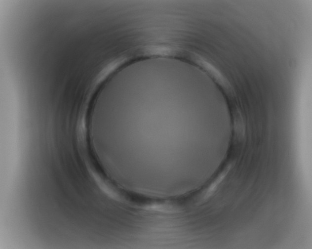 X0000113540674200910021350