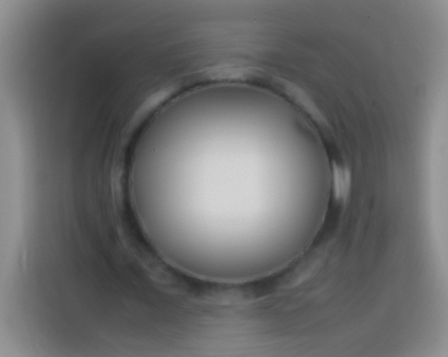 X0000113540675200910021350