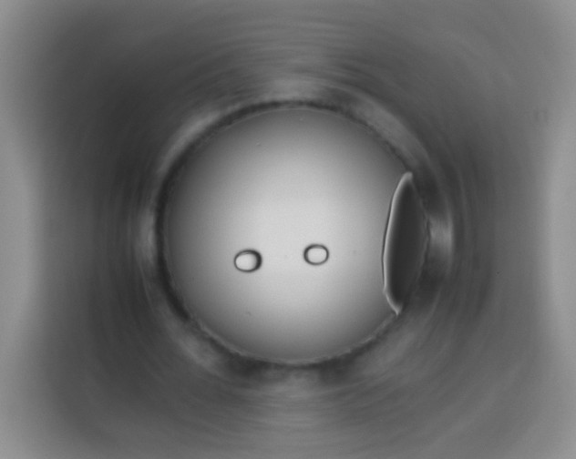 X0000113540676200910021350