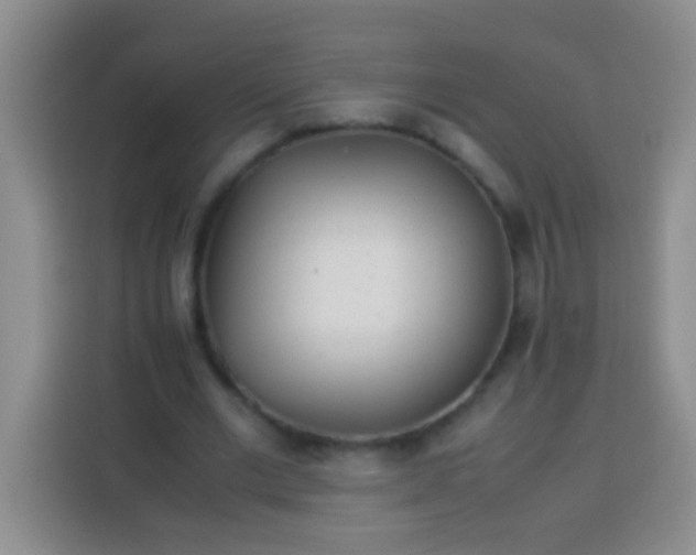 X0000113540677200910021350