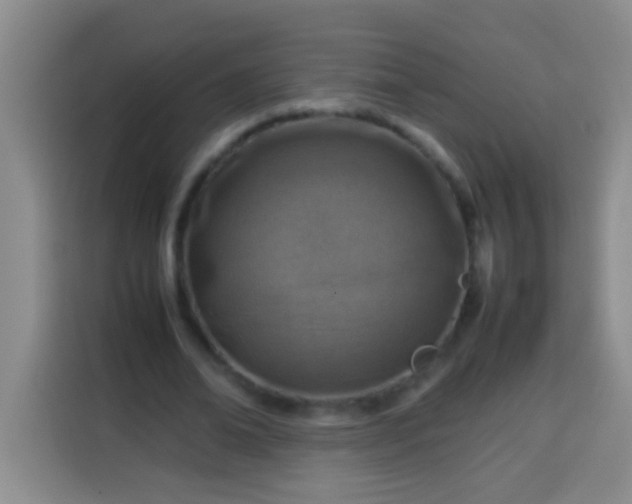 X0000113540678200910021350