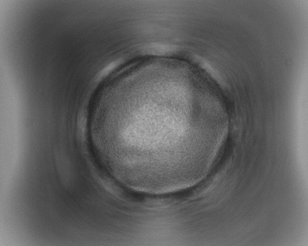 X0000113540679200910021350