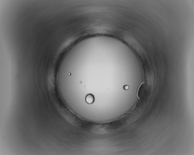 X0000113540680200910021350