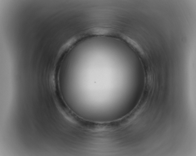 X0000113540682200910021350