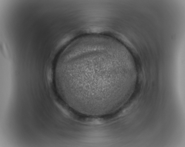 X0000113540683200910021350