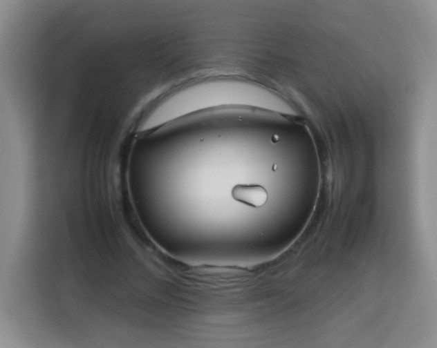 X0000113540684200910021350