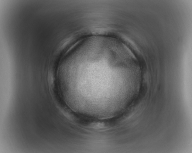 X0000113540687200910021350