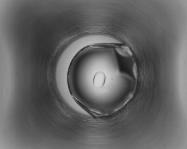 X0000113540688200910021350