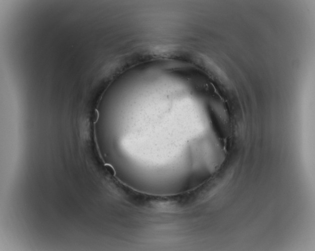 X0000113540689200910021350