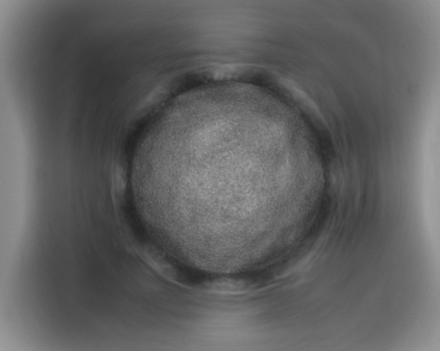 X0000113540691200910021350