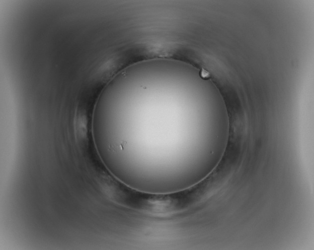 X0000113540693200910021350