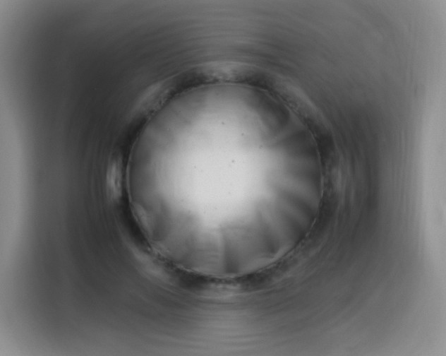 X0000113540694200910021350