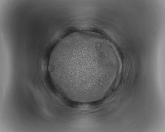 X0000113540695200910021350