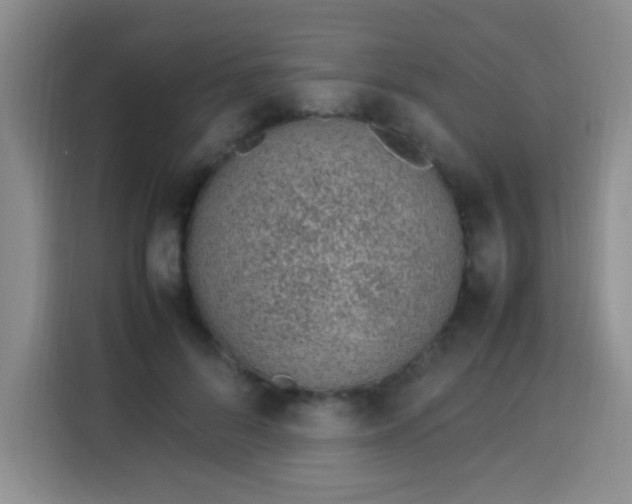 X0000113540696200910021350