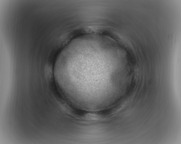 X0000113540699200910021350