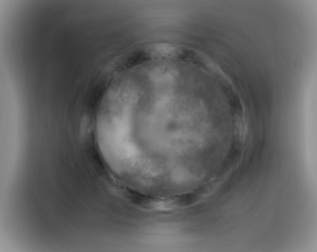 X0000113540701200910021350