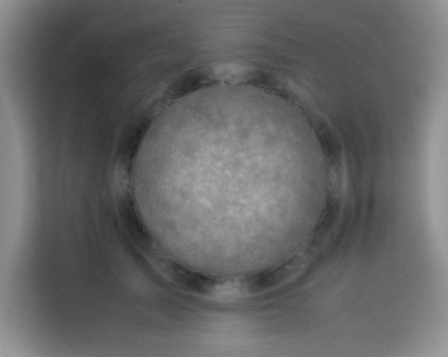 X0000113540705200910021349