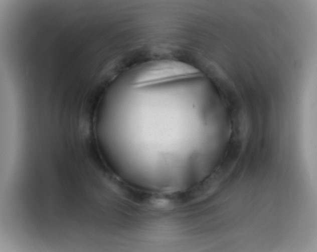 X0000113540706200910021349