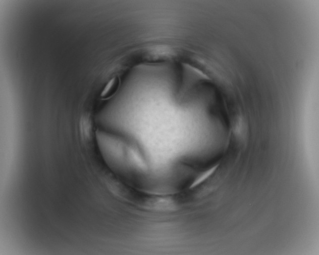 X0000113540715200910021349