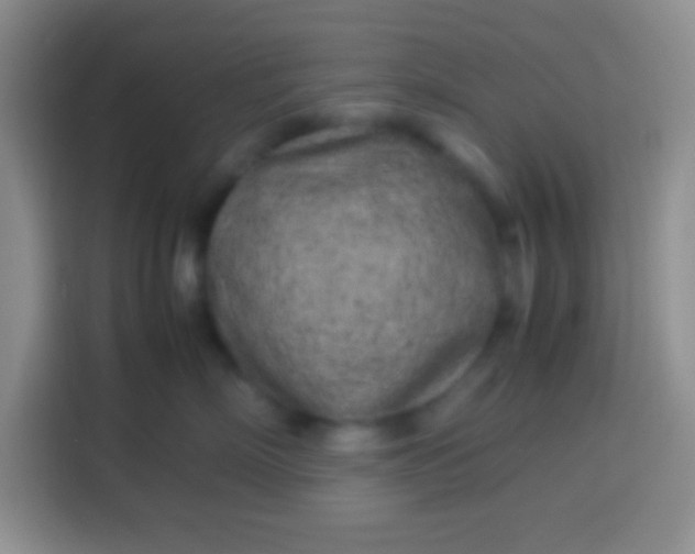 X0000113540718200910021349