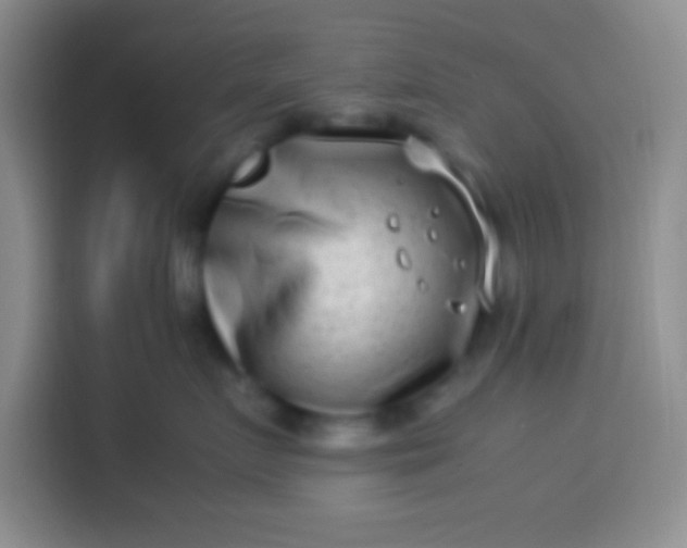 X0000113540719200910021349