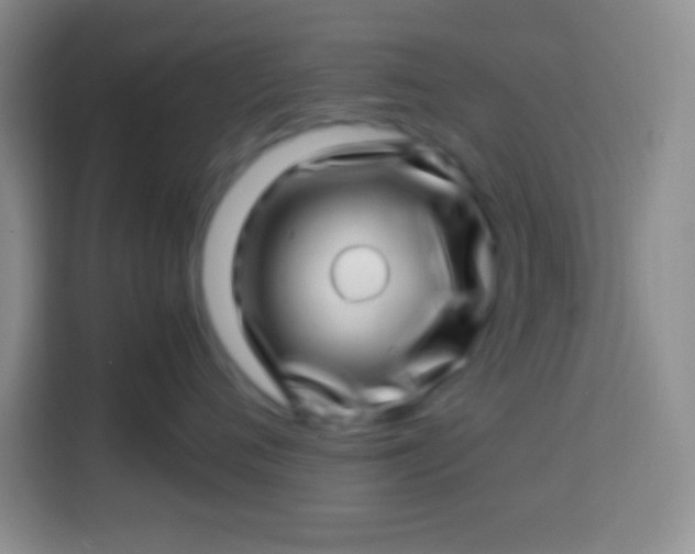 X0000113540720200910021349