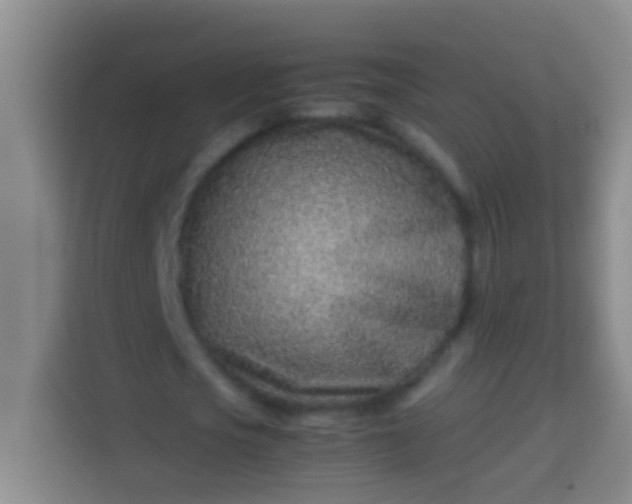 X0000113540721200910021349