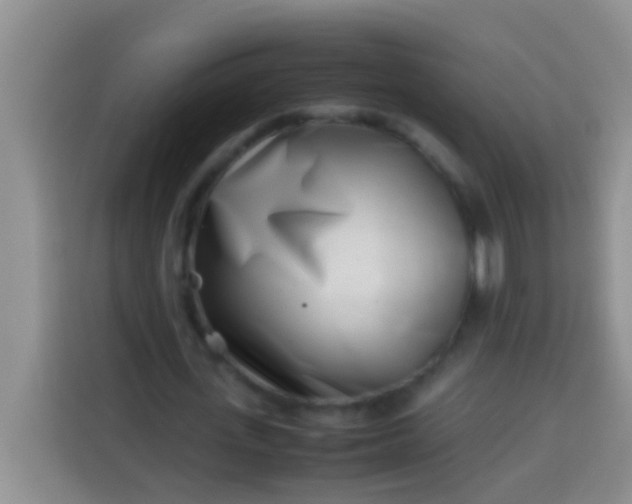 X0000113540723200910021349