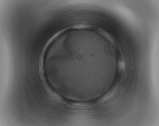 X0000113540724200910021349