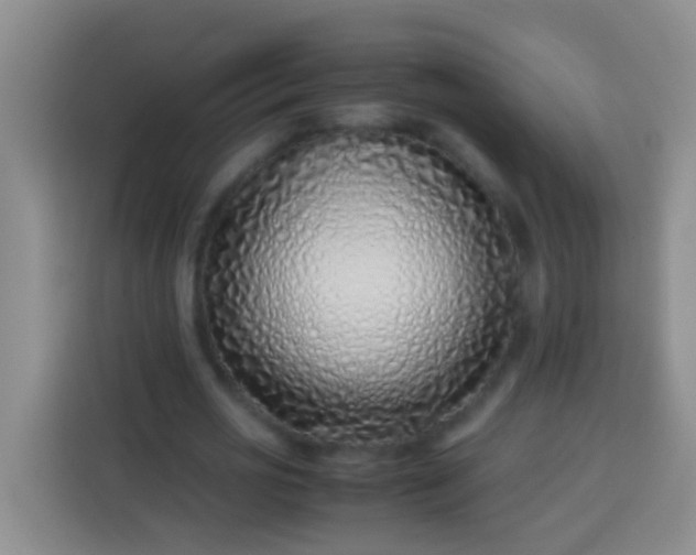 X0000113540725200910021349