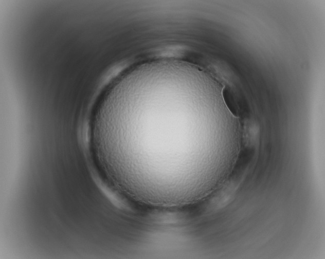 X0000113540726200910021349