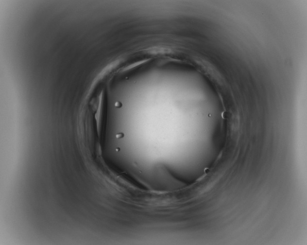 X0000113540727200910021349