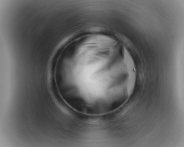 X0000113540728200910021349