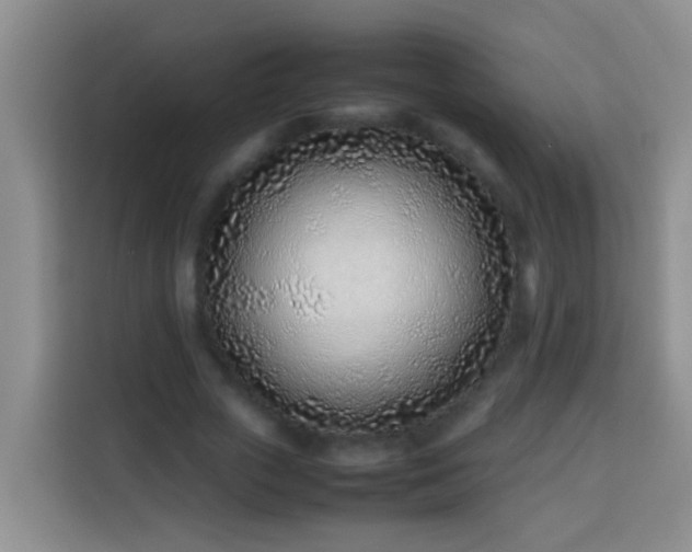 X0000113540729200910021349