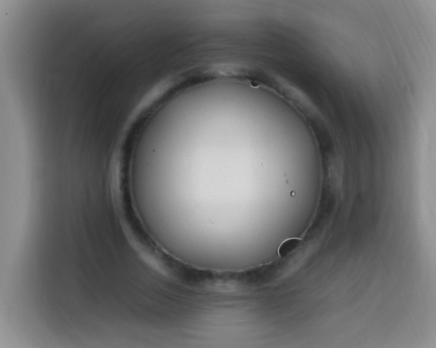 X0000113540730200910021349