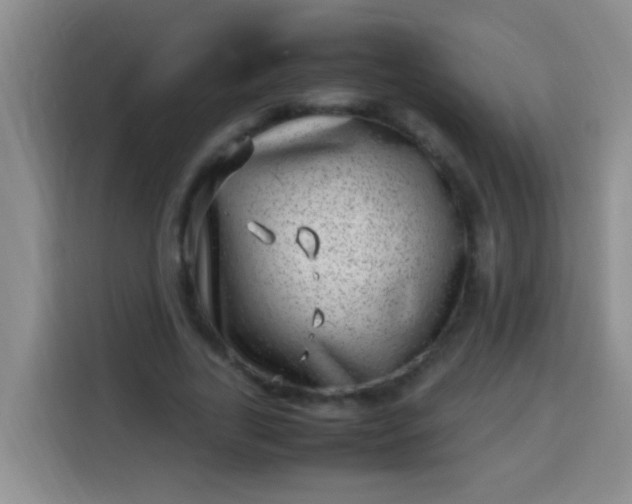 X0000113540731200910021349