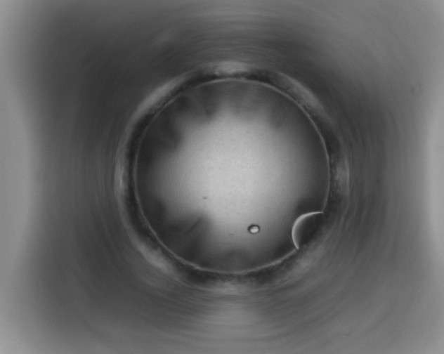 X0000113540732200910021349