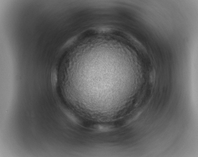 X0000113540733200910021349