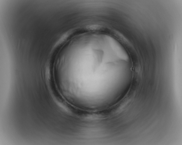 X0000113540734200910021349