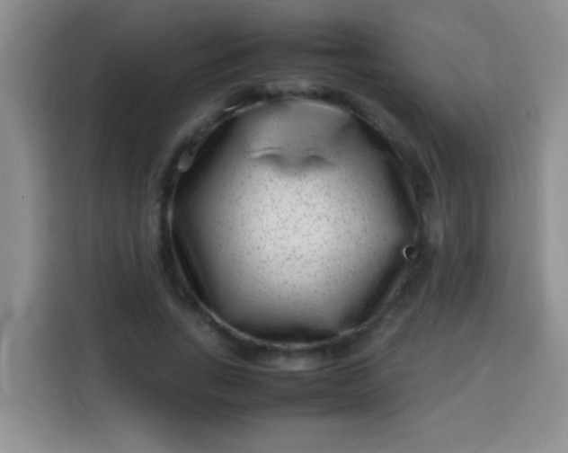 X0000113540735200910021349