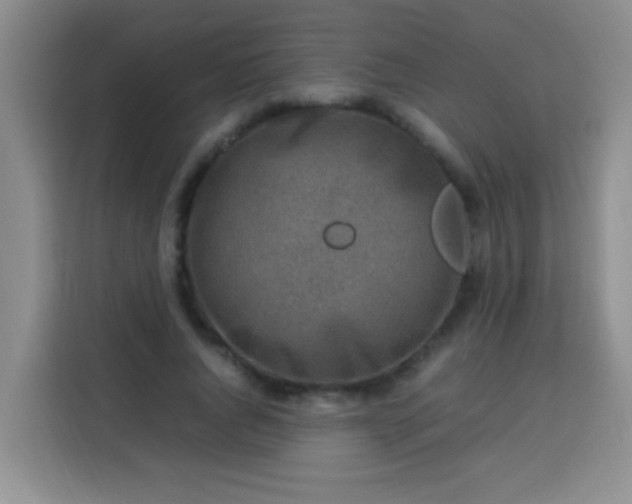 X0000113540736200910021349