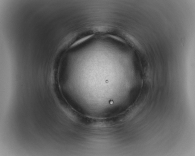 X0000113540738200910021349