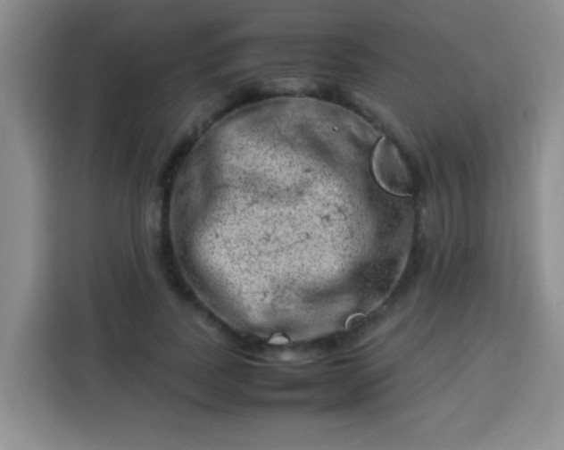 X0000113540739200910021349