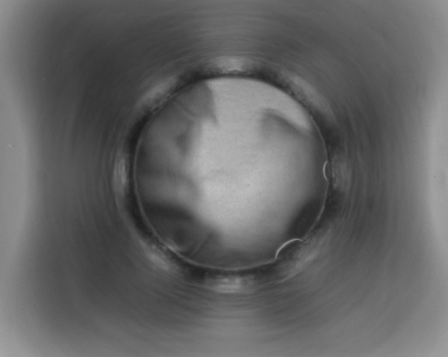 X0000113540740200910021349