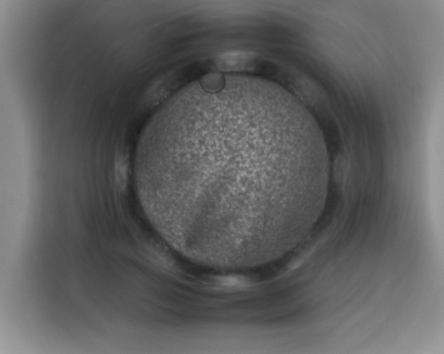 X0000113540741200910021349