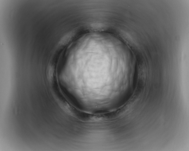 X0000113540742200910021349