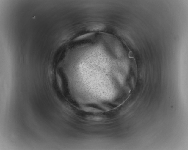 X0000113540743200910021349