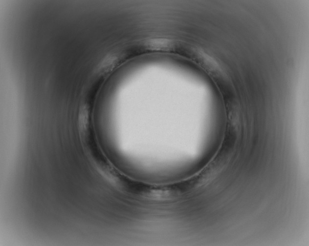 X0000113540744200910021349