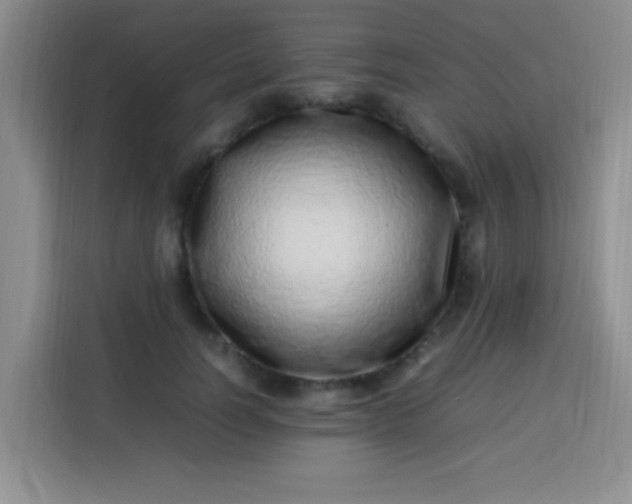 X0000113540746200910021349