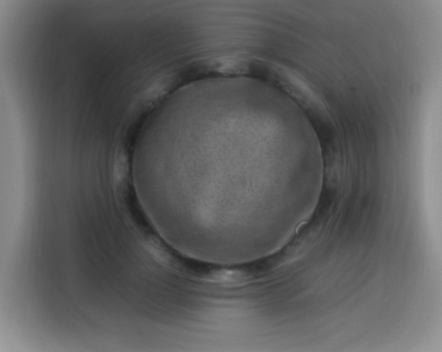 X0000113540748200910021349